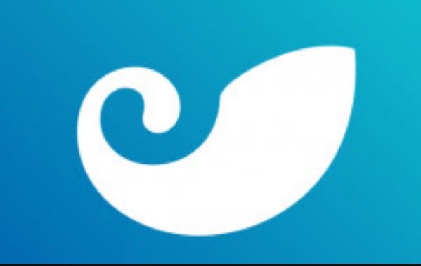 ToKEN钱包提現(xiàn)慢(ToKEN钱包手續(xù)費)